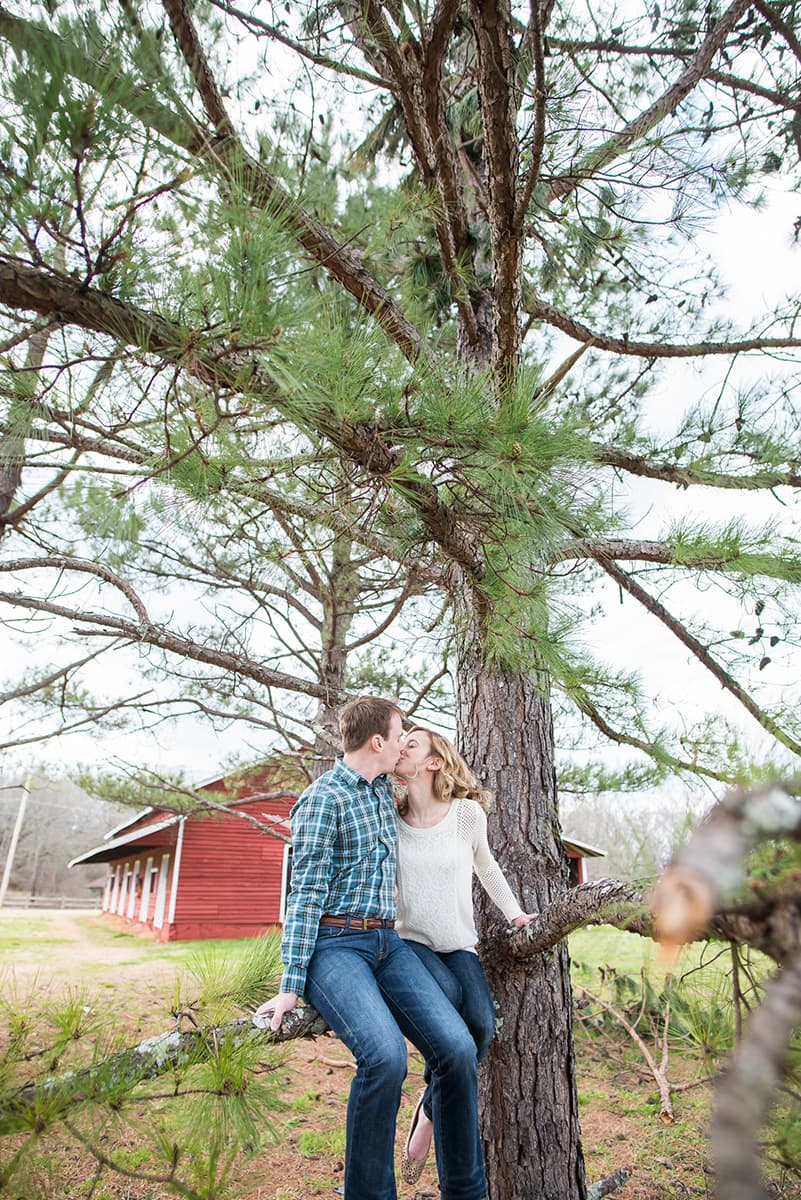 Engagement pictures in a pine tree in South Carolina