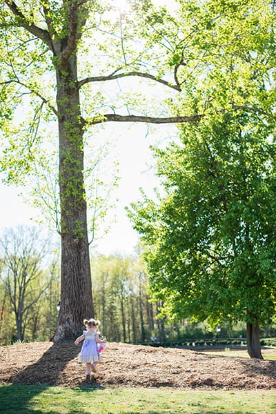 Legacy park family pictures in Greenville, SC